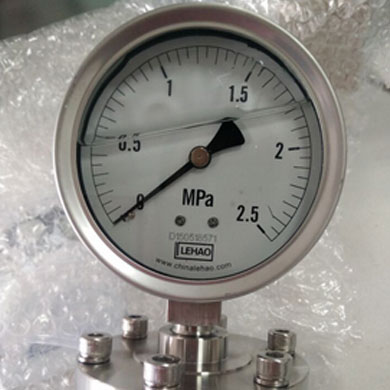 YTNP-100H不锈钢耐震隔膜压力表 0-2.5MPA